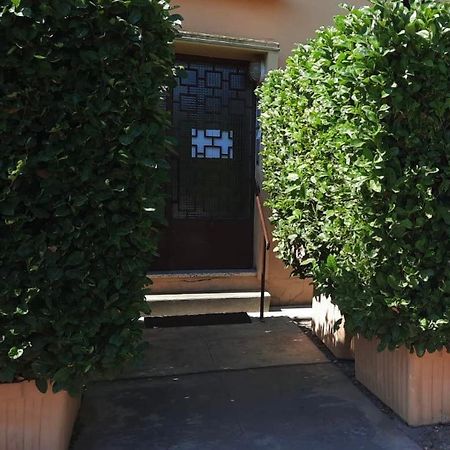 Charmant Logement Climatise Proche Centre Et Plage Apartment Montpellier Exterior foto